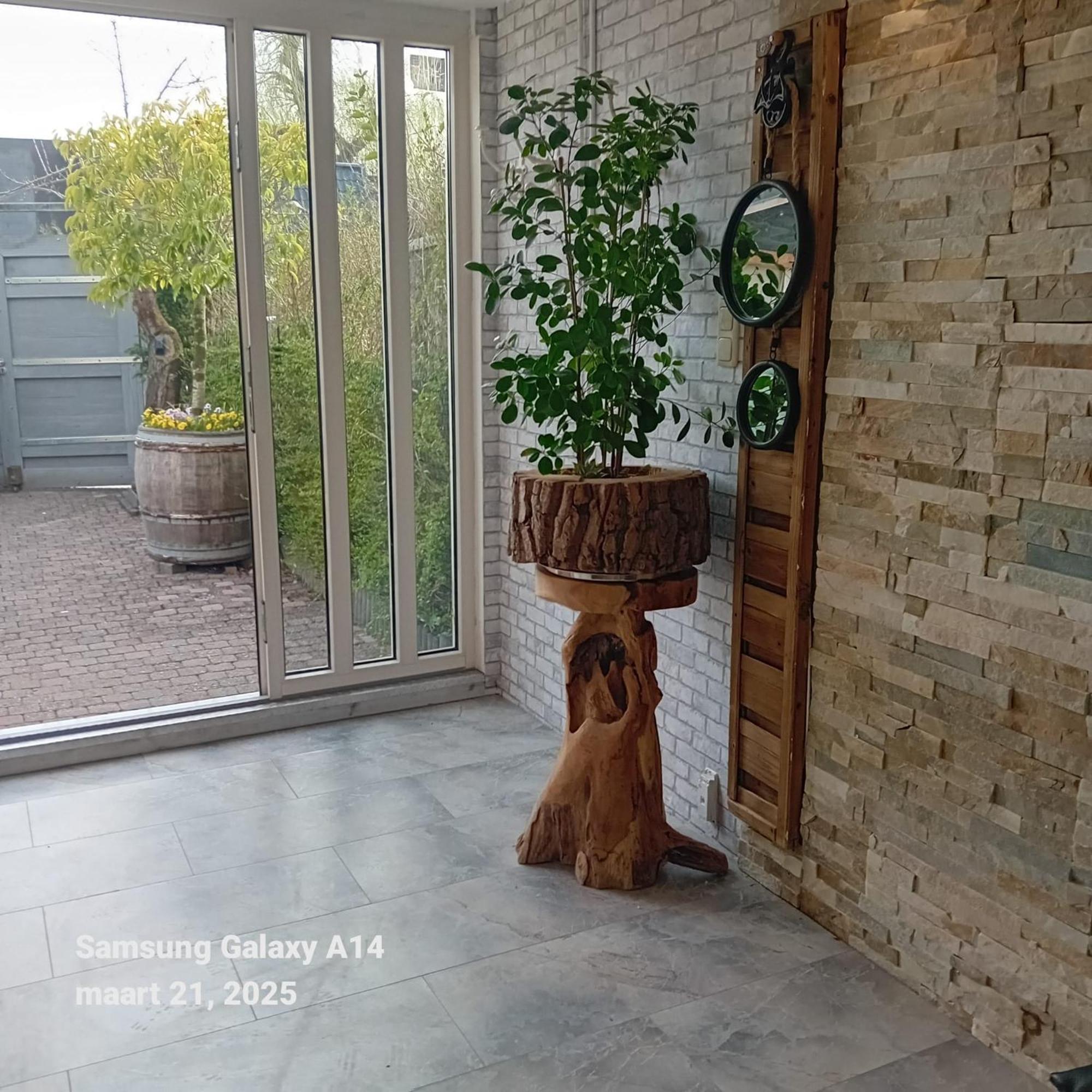 Waterland Daire Ooltgensplaat Dış mekan fotoğraf