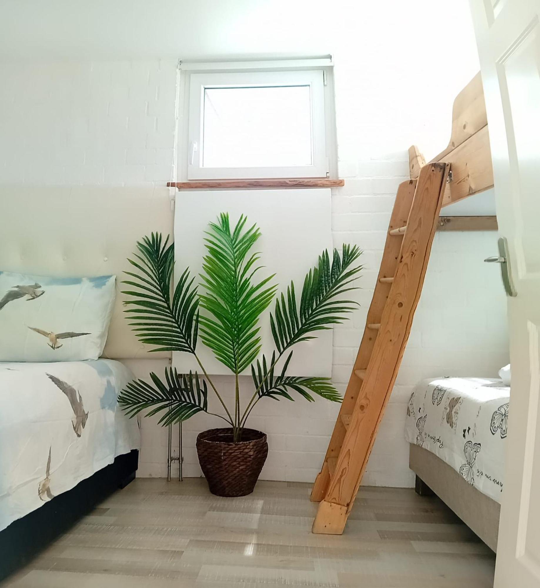 Waterland Daire Ooltgensplaat Dış mekan fotoğraf